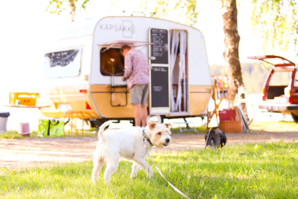 Valkoinen terrieri seisoo kahvila Kapsäkin asuntovaunun edessä